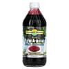 Dynamic Health Laboratories Pure Sambucus Black Elderberry 100% Juice Concentrate Unsweetened 16 fl oz